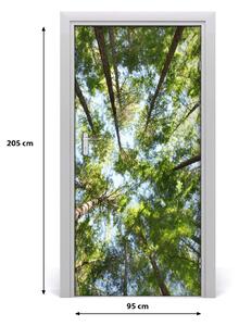 Fototapeta na dvere samolepiace koruna stromov 95x205 cm