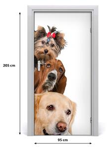 Samolepiace fototapety na dvere Psy a mačky 95x205 cm