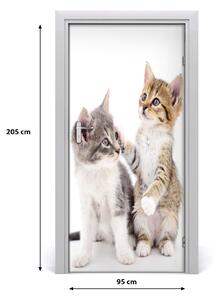 Samolepiace fototapety na dvere Dve malé mačky 95x205 cm