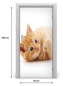 Samolepiace fototapety na dvere Malá červená mačka 95x205 cm
