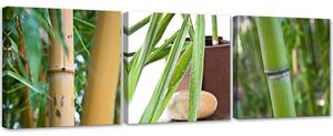 Sada obrazov na plátne Zenové bambusy - 3 dielna Rozmery: 90 x 30 cm