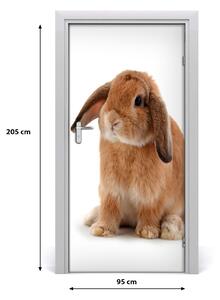 Samolepiace fototapety na dvere králik 95x205 cm