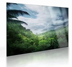Sklenený obraz - Seychelská jungle (70x50 cm)