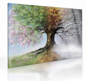 Sklenený obraz - Strom štyroch ročných období (70x50 cm)