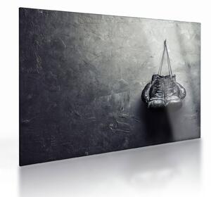 Sklenený obraz boxerských rukavíc (70x50 cm)