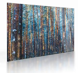 Sklenený obraz - Zimný les (70x50 cm)