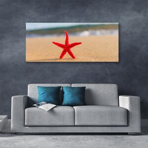 Obraz na plátne Pláž hviezdice umenie 125x50 cm