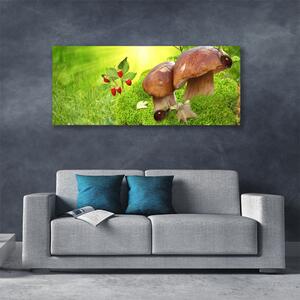 Obraz na plátne Huby divoké jahody 125x50 cm