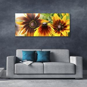 Obraz na plátne Kvety rastlina 125x50 cm