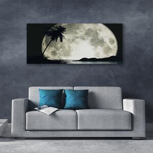 Obraz na plátne Noc mesiac palma krajina 125x50 cm