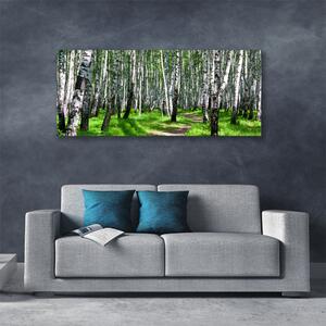 Obraz na plátne Stromy tráva príroda 125x50 cm