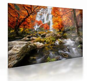 Sklenený obraz - Vodopády v oranžovom lese (70x50 cm)