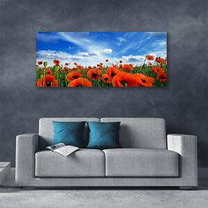 Obraz Canvas Lúka maky kvety 120x60 cm