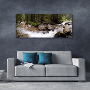Obraz Canvas Les rieka vodopády 125x50 cm