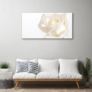 Obraz Canvas Ruže kvety 125x50 cm