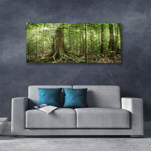 Obraz Canvas Les príroda džungle 125x50 cm