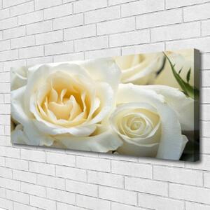 Obraz na plátne Ruže kvety 125x50 cm