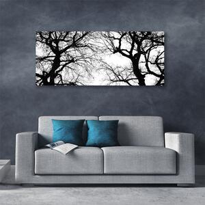 Obraz Canvas Stromy príroda čiernobiely 125x50 cm