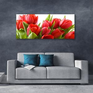 Obraz na plátne Tulipány kvety rastlina 125x50 cm