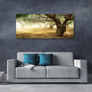 Obraz na plátne Strom tráva príroda 125x50 cm