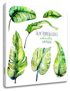 Obraz na stenu s textom Palm tropical leaves (moderné obrazy s textom)