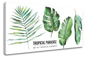 Obraz na stenu s textom Tropical paradise (moderné obrazy s textom)