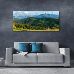 Obraz Canvas Hora les príroda 125x50 cm