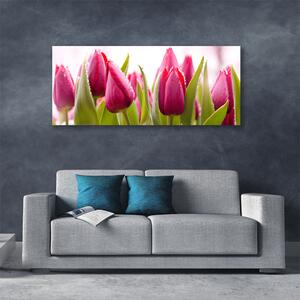 Obraz Canvas Tulipány kvety rastlina 125x50 cm