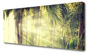 Obraz Canvas Les palmy stromy príroda 125x50 cm