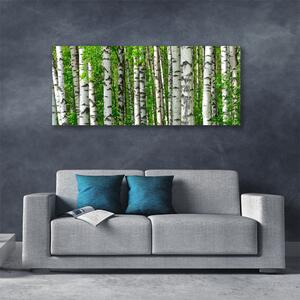 Obraz Canvas Les rastlina príroda 125x50 cm