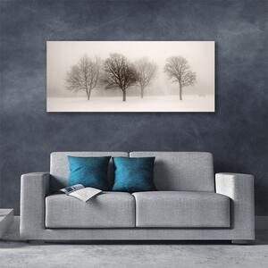 Obraz Canvas Sneh stromy príroda 125x50 cm