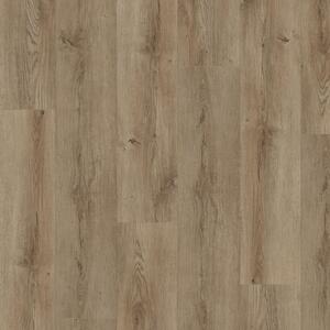 Afirmax LEGNAR Acoustic Dub Ashville CLEA 43102