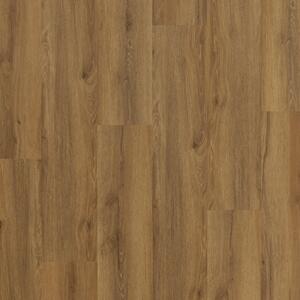 Afirmax LEGNAR Acoustic Dub Regal CLEA 43132