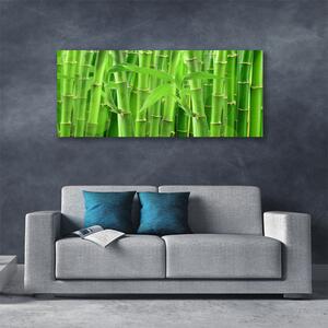 Obraz na plátne Bambus stonka kvet rastlina 125x50 cm