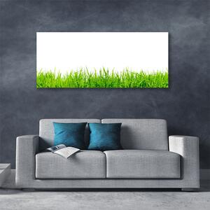Obraz na plátne Tráva príroda rastlina 125x50 cm