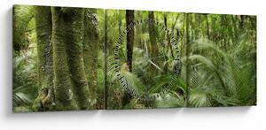 Obraz Tropický dažďový prales (s hodinami) (90x30 cm)