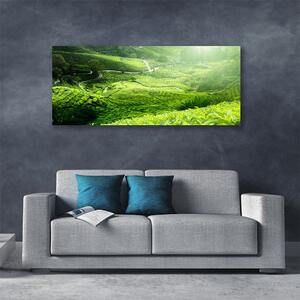Obraz na plátne Lúka príroda 125x50 cm