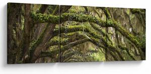 Obraz - Oaks Avenue, Charleston, Južná Karolína, USA (s hodinami) (90x30 cm)