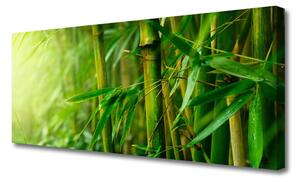 Obraz na plátne Bambus stonky rastlina 125x50 cm