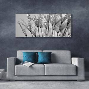Obraz na plátne Púpava rastlina 125x50 cm