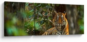 Obraz odpočívajúceho tigra (s hodinami) (90x30 cm)