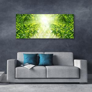 Obraz na plátne Listy príroda rastlina 125x50 cm