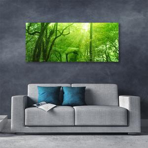 Obraz na plátne Stromy príroda 125x50 cm