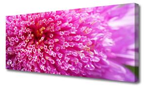 Obraz na plátne Kvet 125x50 cm