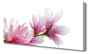 Obraz na plátne Magnolie kvet 125x50 cm