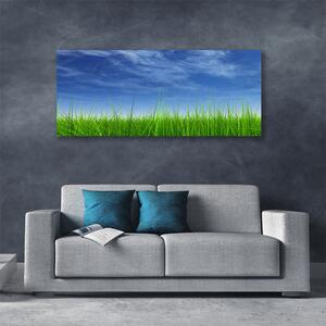 Obraz na plátne Nebo tráva príroda 125x50 cm
