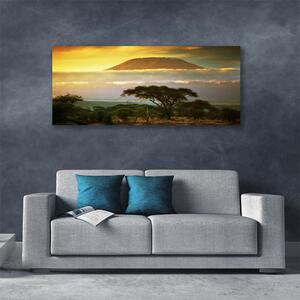 Obraz na plátne Strom hory príroda 125x50 cm