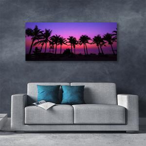 Obraz na plátne Palmy stromy príroda 125x50 cm