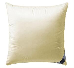 VANKÚŠ POD HLAVU, 80/80 cm Billerbeck - Prikrývky & vankúše, Online Only