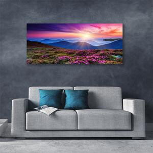 Obraz na plátne Hora lúka kvety príroda 125x50 cm